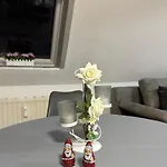 Oppiner Strasse 14 Trotha4 * Halle (Saale)