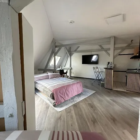 Oppiner Strasse 14 Trotha4 Lejlighed *