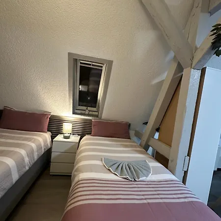 Oppiner Straße 14 Trotha4