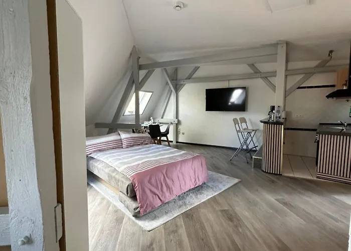 Oppiner Strasse 14 Trotha4 アパート *